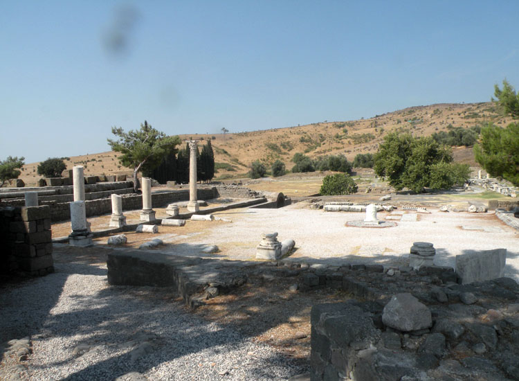 Mauremys cfr rivulata dalla Turchia